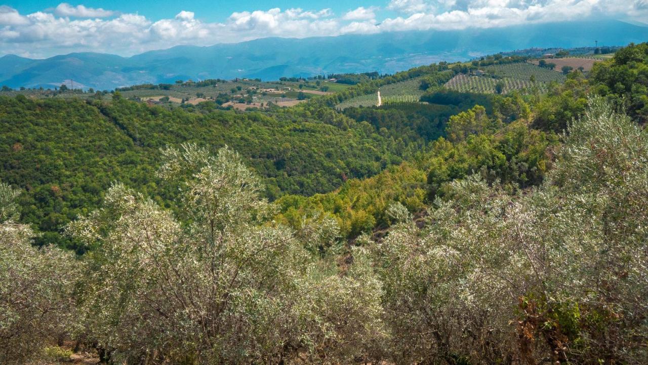 Le Case Gialle Gualdo Cattaneo Exteriér fotografie